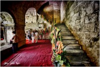 /album/fotogaleria-girona/mg-9019-640x480-jpg/
